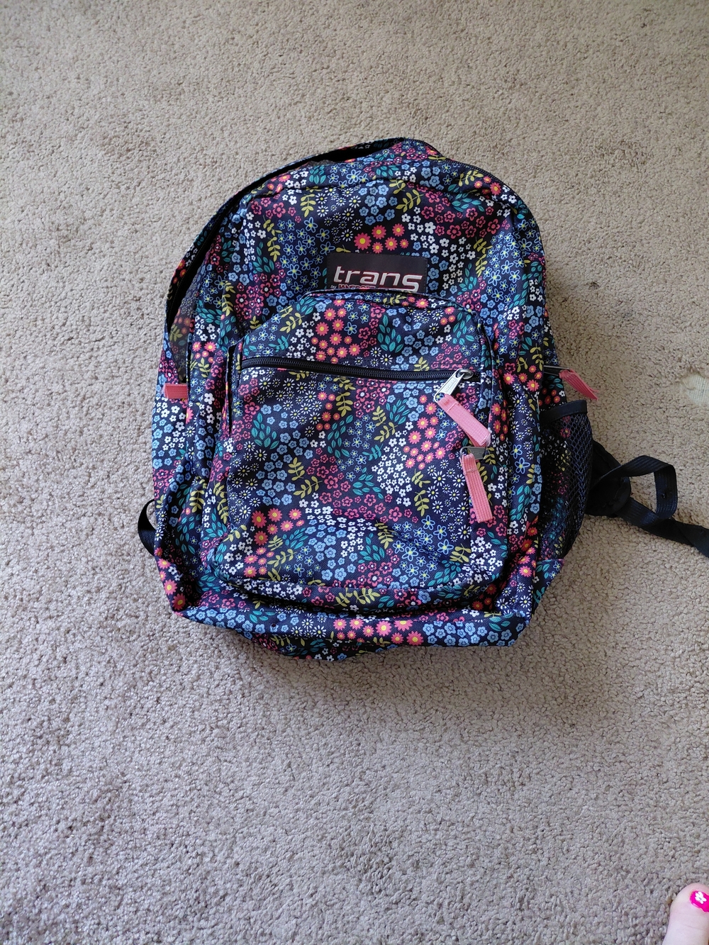 Jansport Backpack